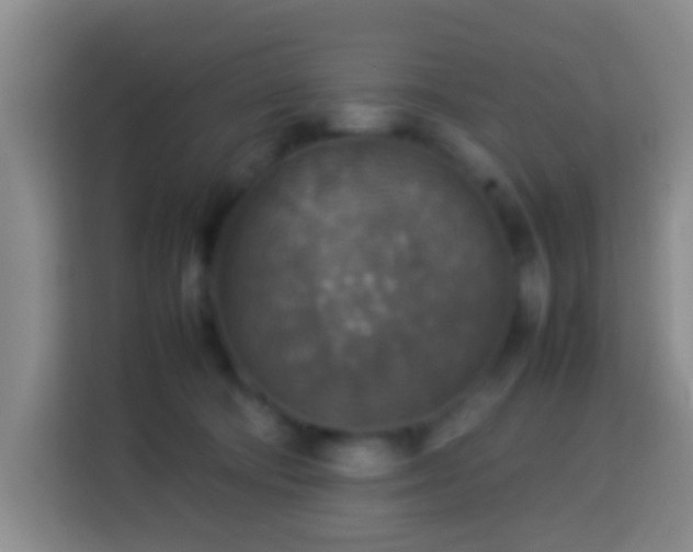 X0000113780322200909301155