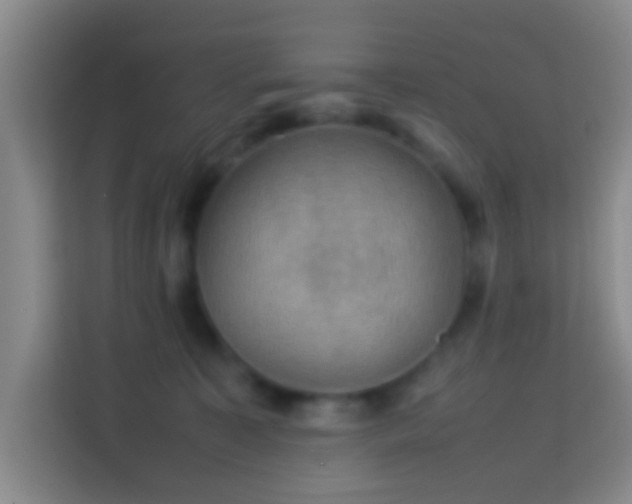 X0000113780323200909301155