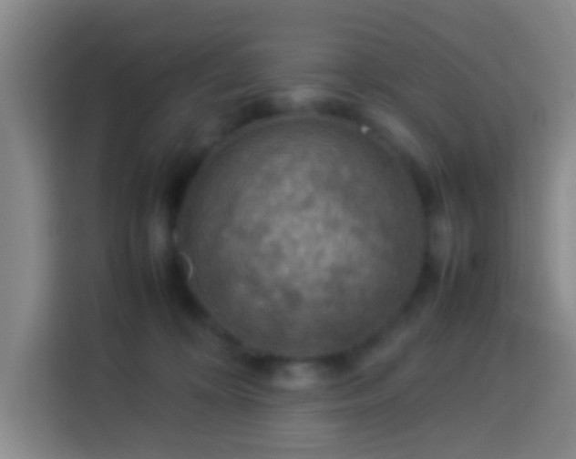 X0000113780324200909301154