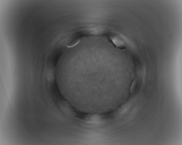 X0000113780325200909301154