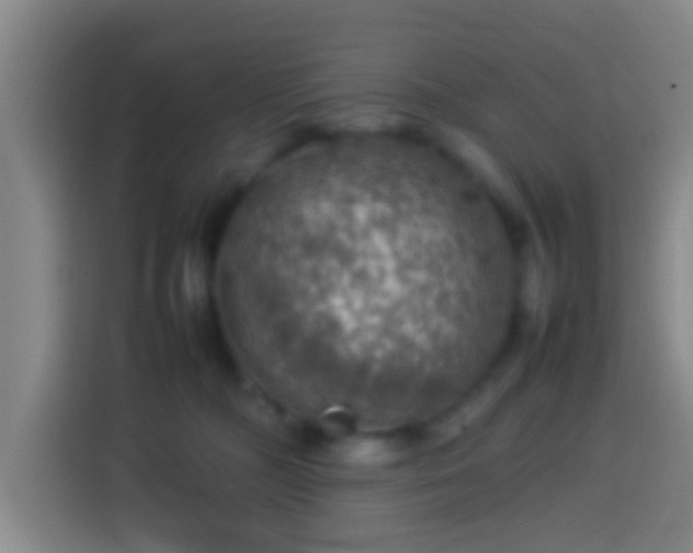 X0000113780326200909301154