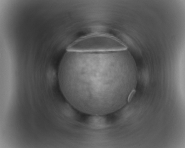 X0000113780327200909301154