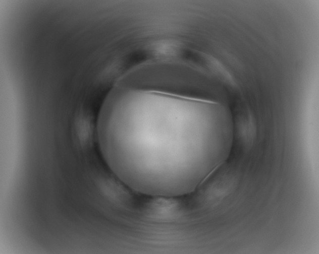 X0000113780328200909301154