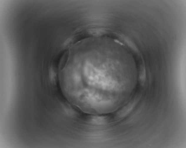 X0000113780332200909301154