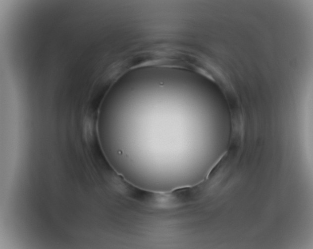 X0000113780333200909301154