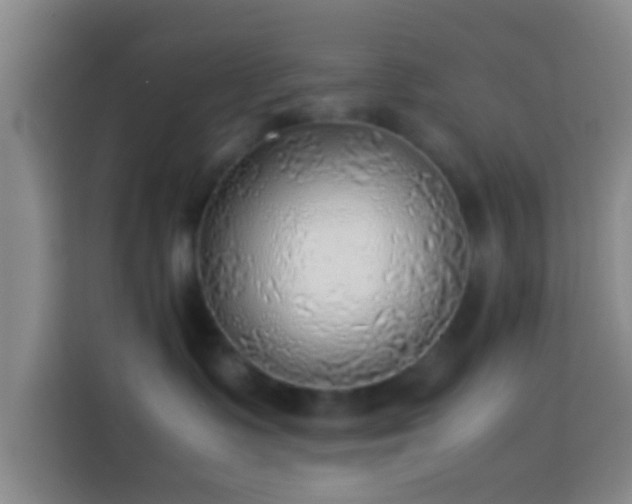 X0000113780335200909301154