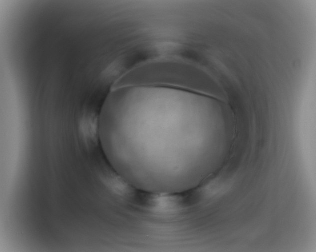 X0000113780336200909301154