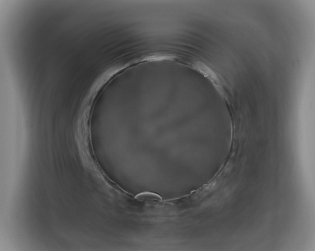 X0000113780337200909301154