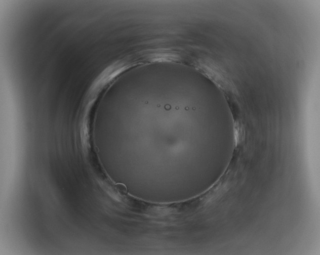 X0000113780339200909301154