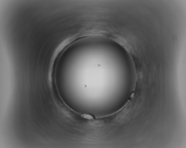 X0000113780340200909301154