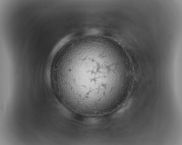 X0000113780341200909301154