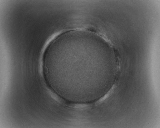 X0000113780342200909301154