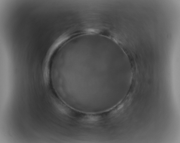 X0000113780343200909301154