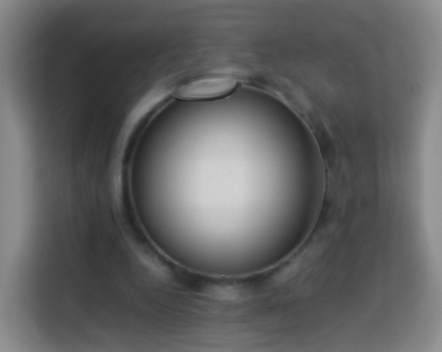 X0000113780344200909301154