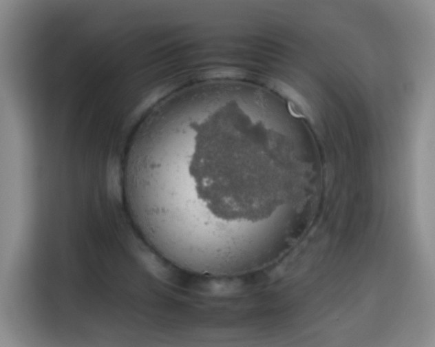 X0000113780345200909301154