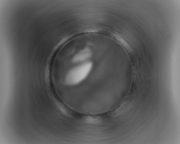 X0000113780346200909301154