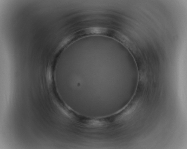 X0000113780347200909301154