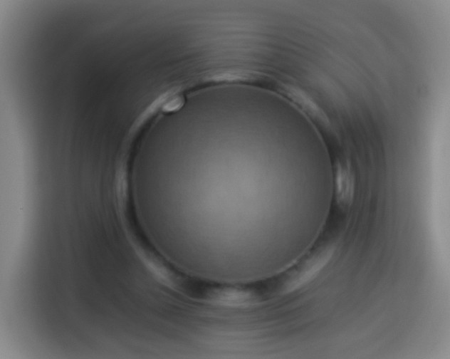 X0000113780348200909301154