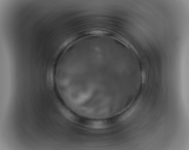 X0000113780349200909301154