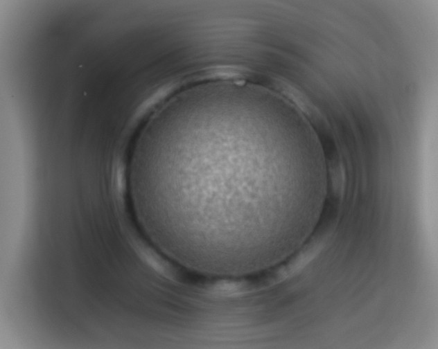 X0000113780350200909301154