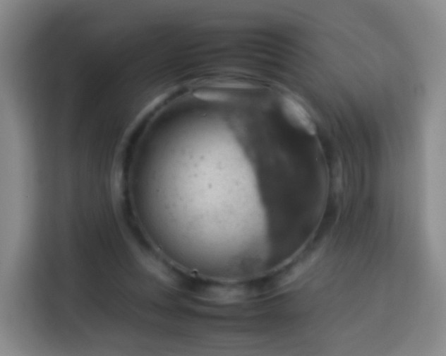 X0000113780351200909301154