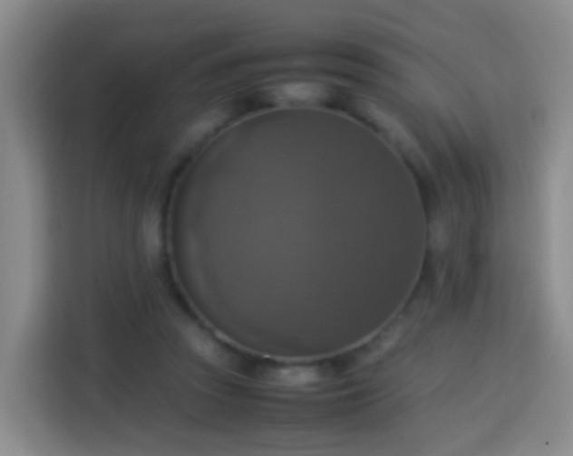 X0000113780353200909301154