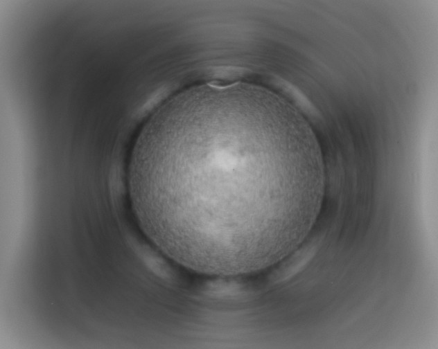 X0000113780354200909301154