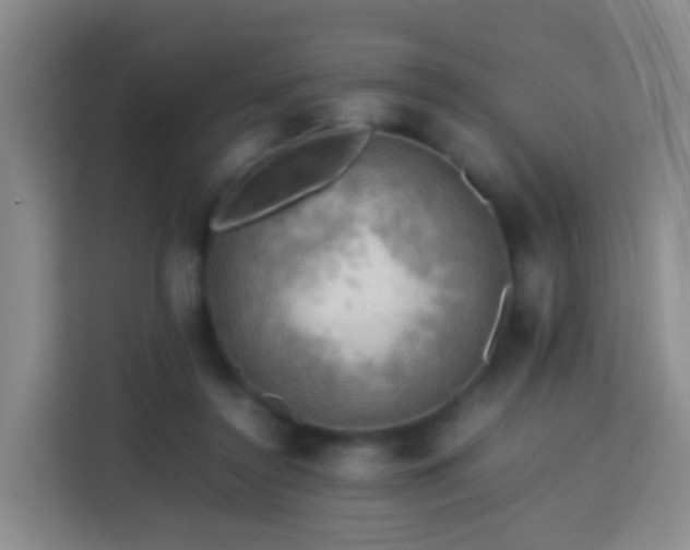 X0000113780356200909301154