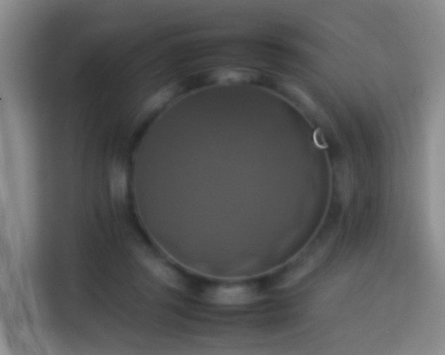 X0000113780357200909301154