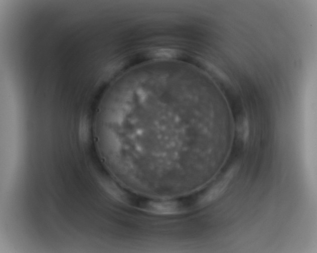 X0000113780359200909301154