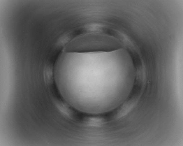 X0000113780360200909301154