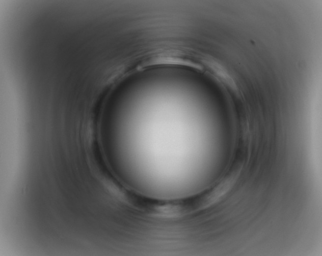 X0000113780362200909301154