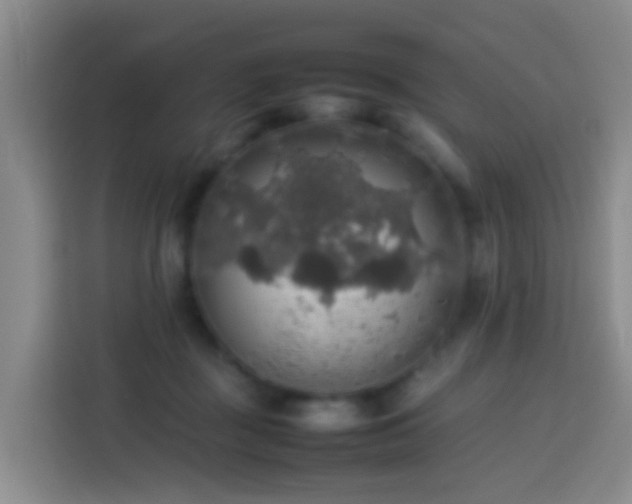 X0000113780363200909301154