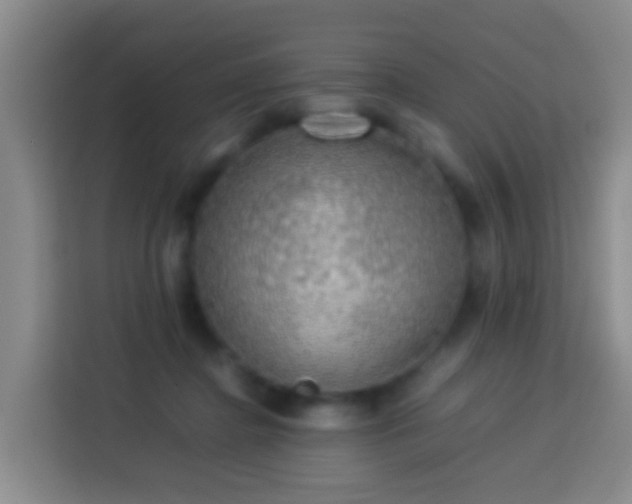 X0000113780364200909301154