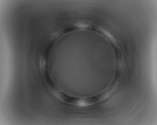 X0000113780365200909301154