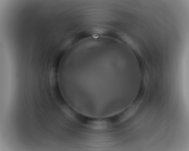 X0000113780366200909301154