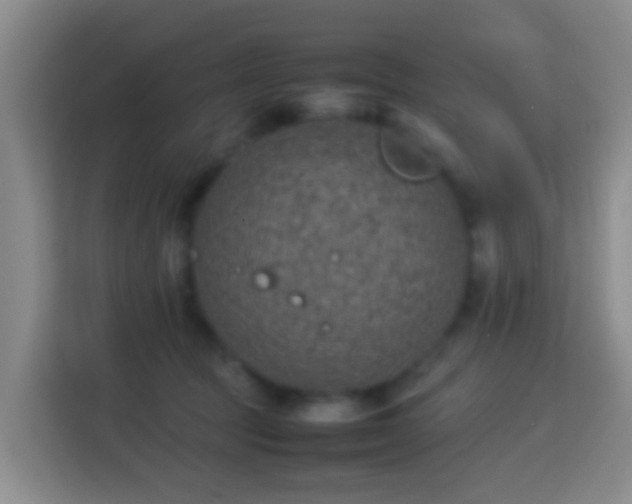 X0000113780369200909301154