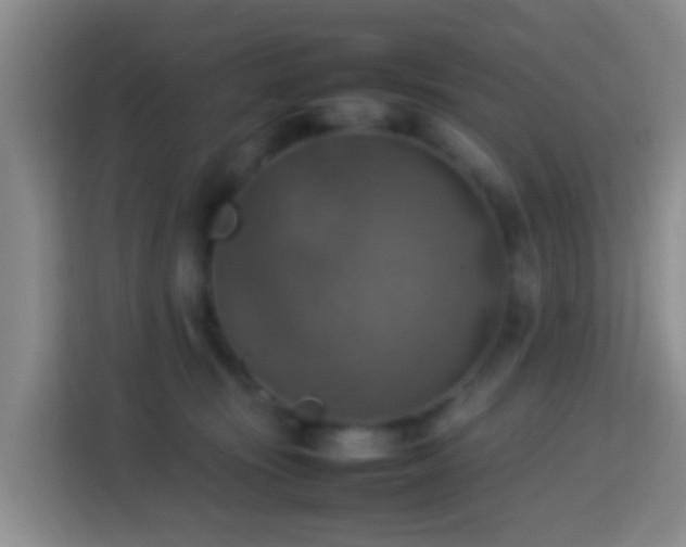 X0000113780371200909301154