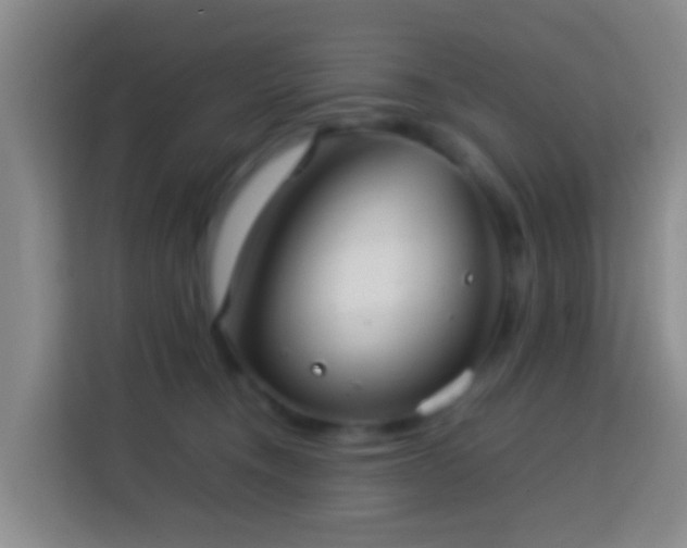 X0000113780372200909301154