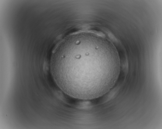 X0000113780374200909301154