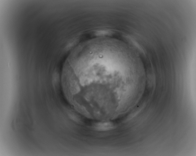 X0000113780375200909301154