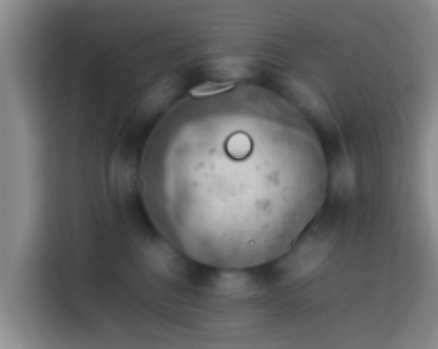 X0000113780376200909301154