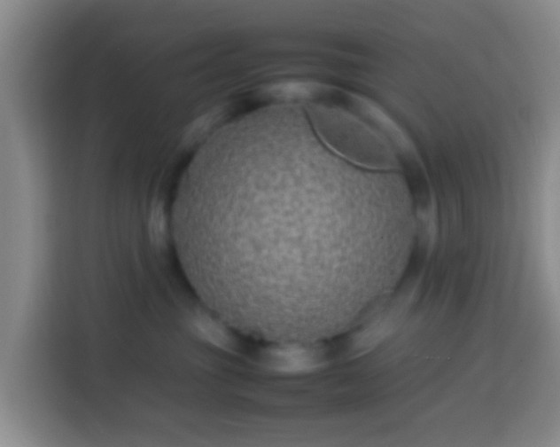 X0000113780381200909301154