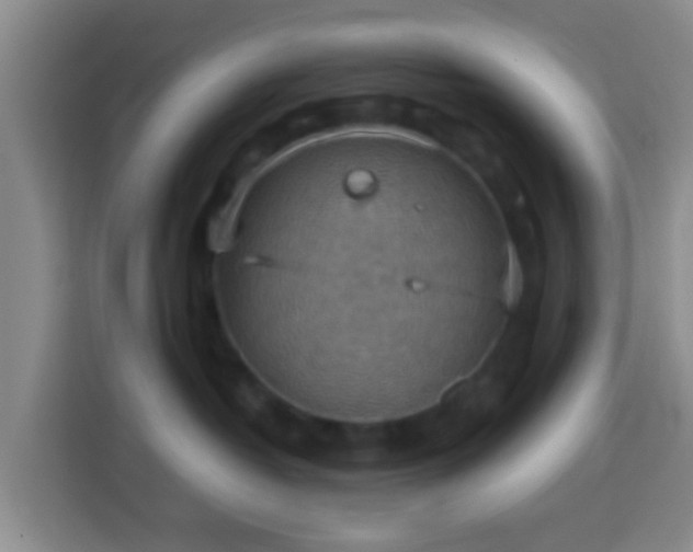 X0000113780382200909301154