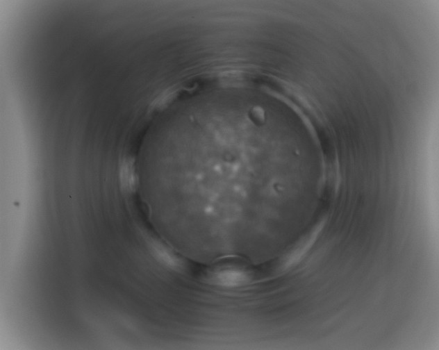 X0000113780383200909301154