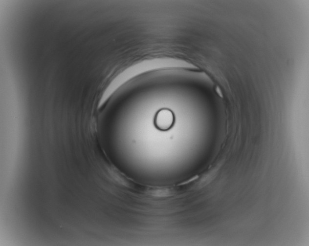 X0000113780384200909301154