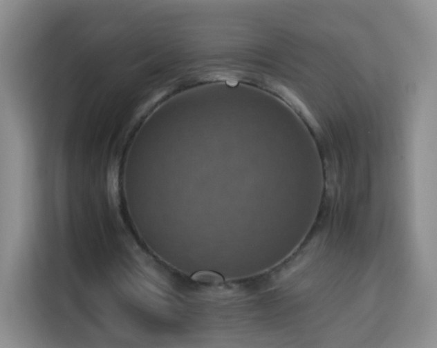 X0000113780386200909301154