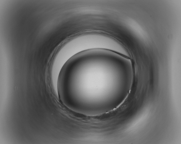 X0000113780387200909301154