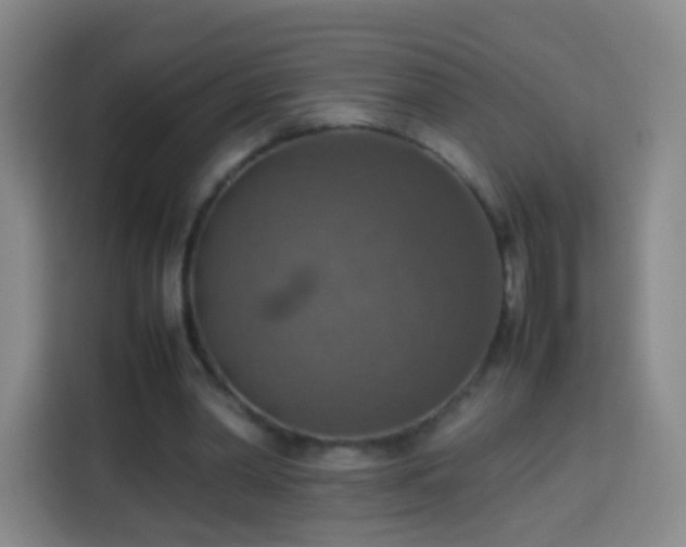 X0000113780390200909301154