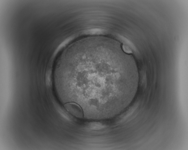 X0000113780392200909301154